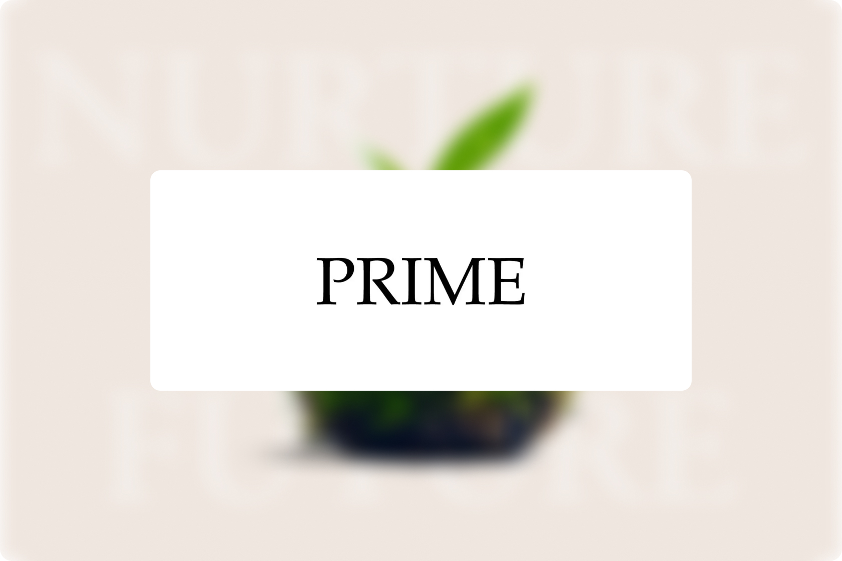 prime